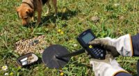 beginner metal detecting tips