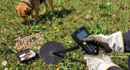 beginner metal detecting tips