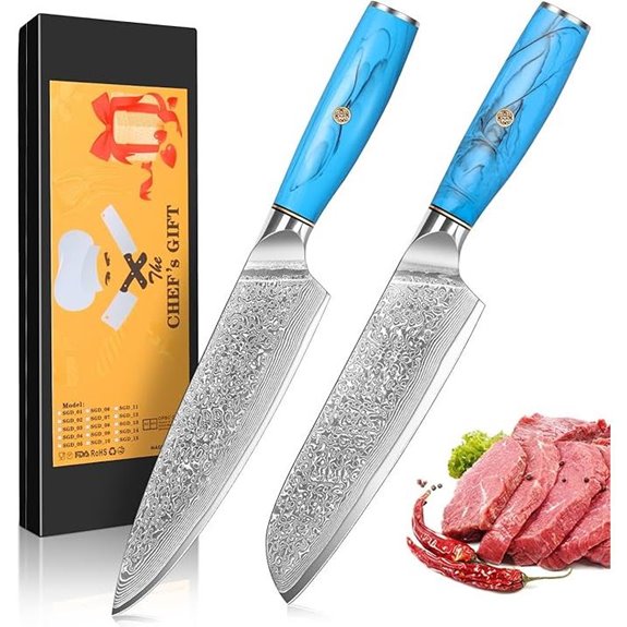 Damascus Steel Chef & Santoku Knife Set (2-Piece)