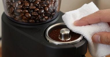 grinder cleaning preserves flavor