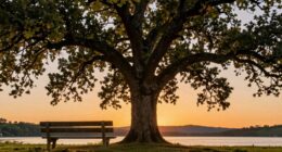 inflation resistant retirement income