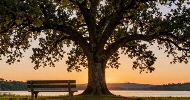 inflation resistant retirement income