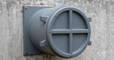 metal seed backup security