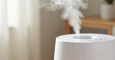 mineral dust from humidifiers
