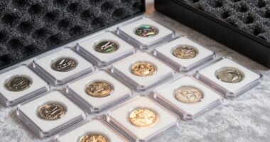 protect graded coins safely