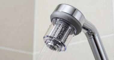 shower filters benefits limitations