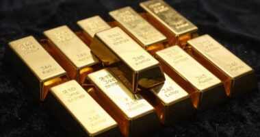 top 24k gold bar picks