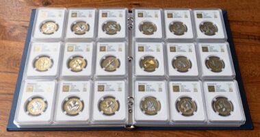 top coin binder pages