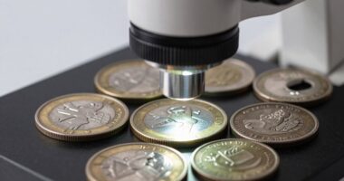 top coin viewing usb microscopes