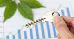 misunderstanding ira investment options