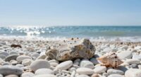 simplicity a winning strategy