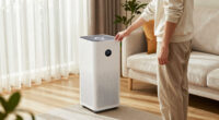 10 Best Air Purifier for Wildfire Smoke in 2026