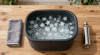 10 Best Cold Plunge Tub Portable in 2026