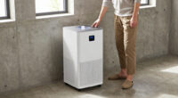 11 Best Dehumidifier For Basement High Capacity In 2026