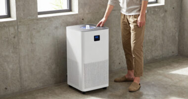 11 Best Dehumidifier For Basement High Capacity In 2026