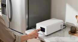 11 Best UPS for Refrigerator and Electronics in 2026
