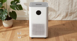 14 Best Whole House Dehumidifier in 2026 — The Complete Buyer’s Guide
