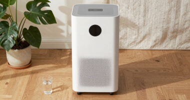 14 Best Whole House Dehumidifier in 2026 — The Complete Buyer’s Guide