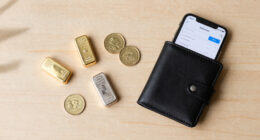 13 Best Precious Metals Investment Kits in 2026