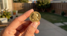 CALX Deadline: CALX Investors With Losses In Excess Of $100K Have Opportunity To Lead Calix, Inc. Securities Fraud Lawsuit