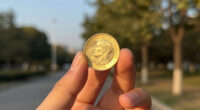 Aufstockung Von Drei Grünen Bundeswertpapieren - Tenderergebnis