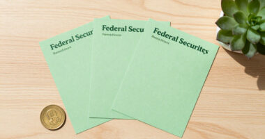 Reopening Of Three Green Federal Securities - Auction Result